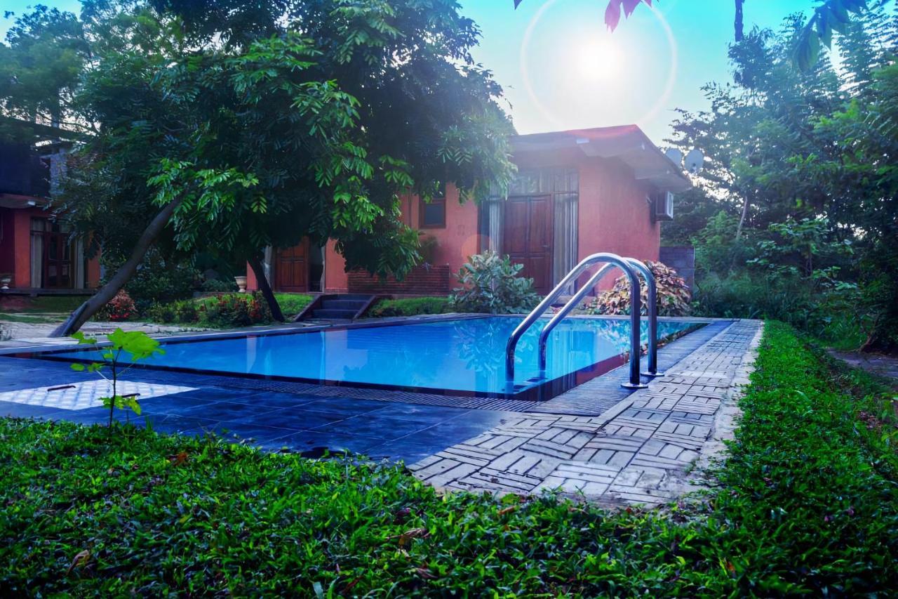 Thammenna Eco Cabins Dambulla Dış mekan fotoğraf