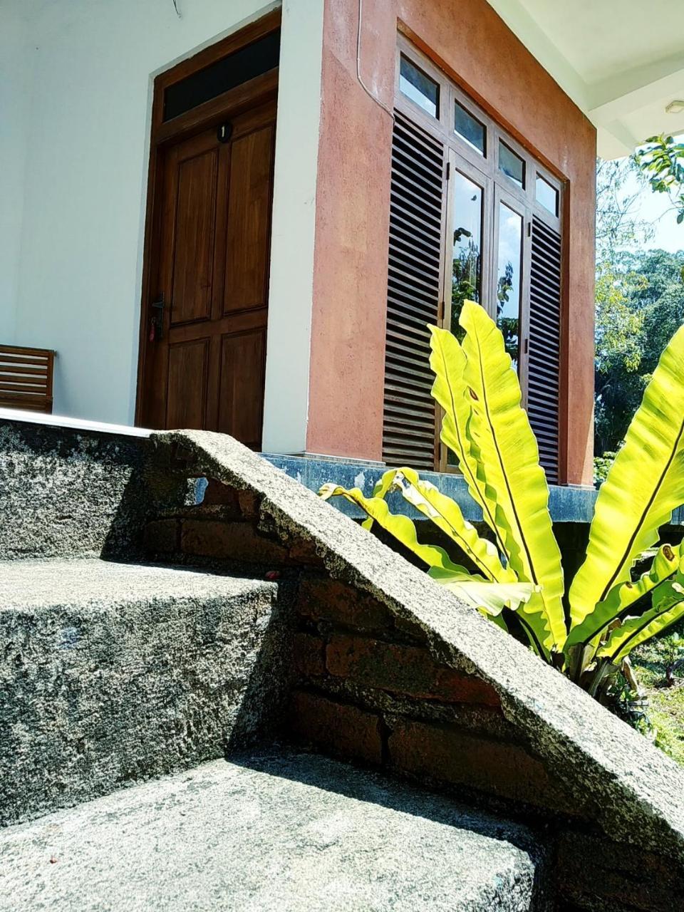 Thammenna Eco Cabins Dambulla Dış mekan fotoğraf