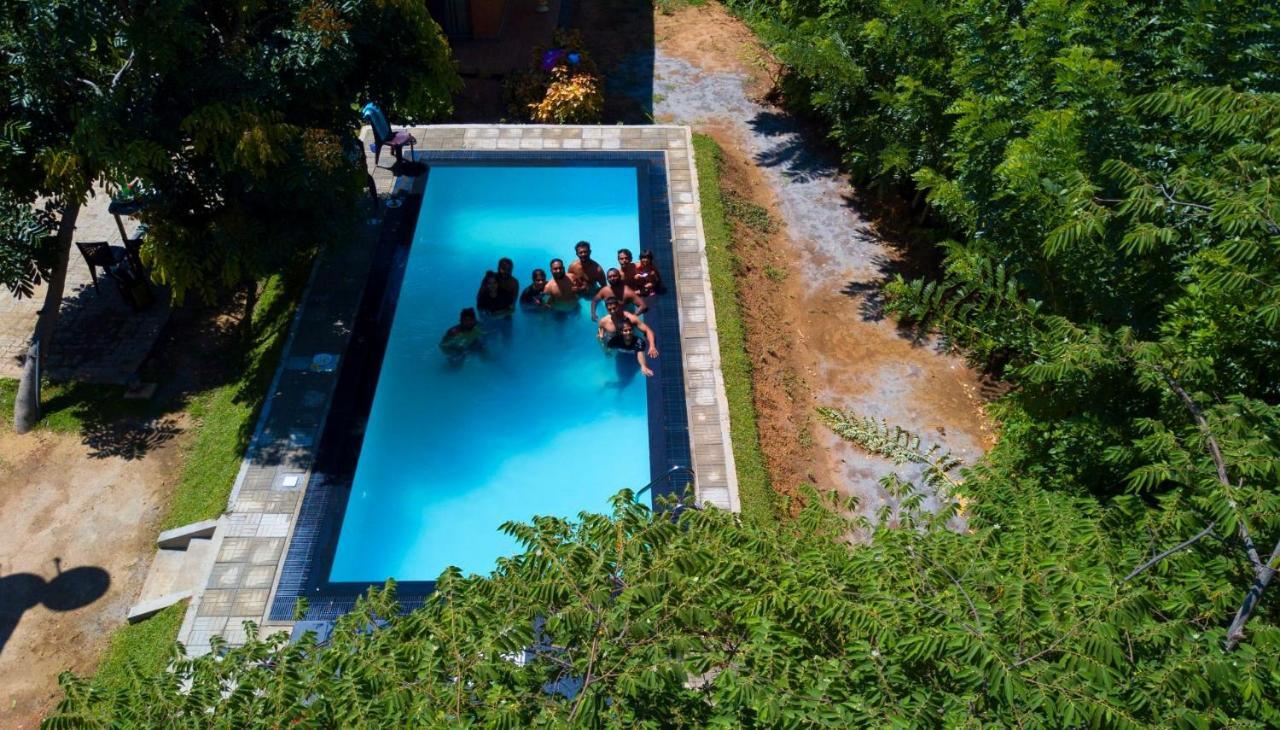 Thammenna Eco Cabins Dambulla Dış mekan fotoğraf