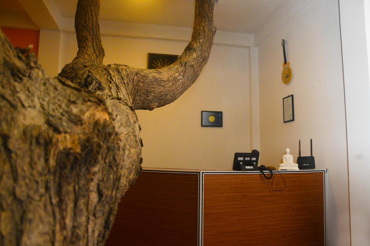 Thammenna Eco Cabins Dambulla Dış mekan fotoğraf